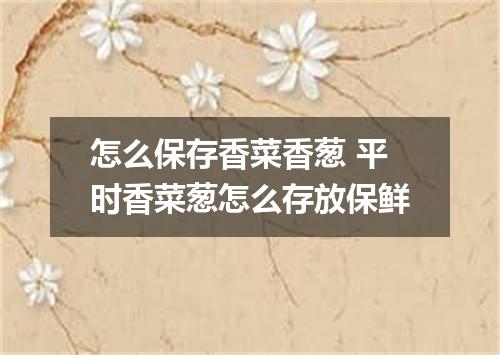 怎么保存香菜香葱 平时香菜葱怎么存放保鲜