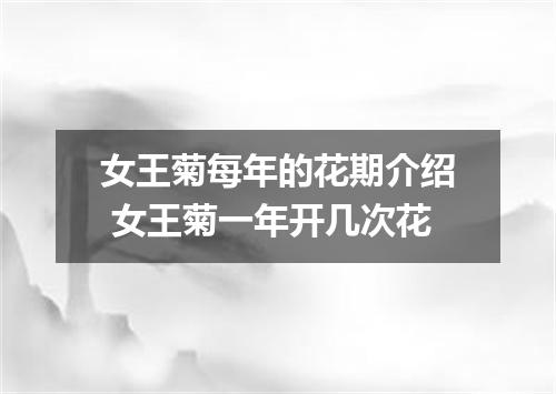 女王菊每年的花期介绍 女王菊一年开几次花