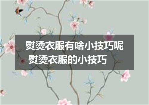熨烫衣服有啥小技巧呢 熨烫衣服的小技巧