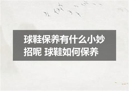 球鞋保养有什么小妙招呢 球鞋如何保养