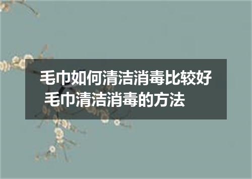 毛巾如何清洁消毒比较好 毛巾清洁消毒的方法