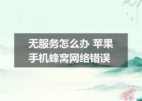 无服务怎么办 苹果手机蜂窝网络错误