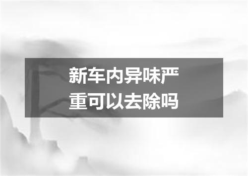 新车内异味严重可以去除吗