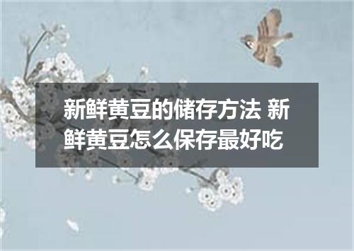 新鲜黄豆的储存方法 新鲜黄豆怎么保存最好吃