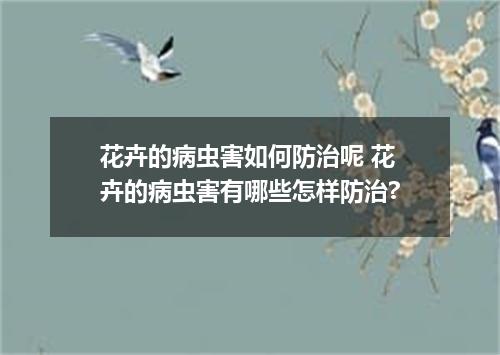 花卉的病虫害如何防治呢 花卉的病虫害有哪些怎样防治?