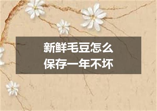 新鲜毛豆怎么保存一年不坏