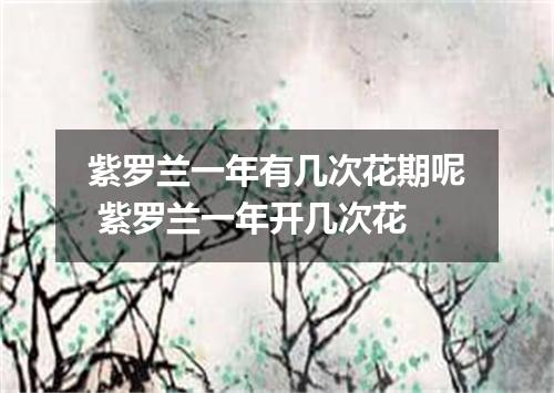 紫罗兰一年有几次花期呢 紫罗兰一年开几次花