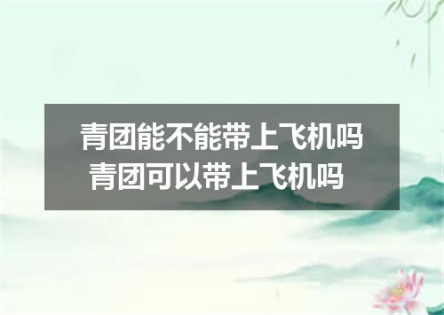 青团能不能带上飞机吗 青团可以带上飞机吗