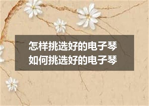 怎样挑选好的电子琴 如何挑选好的电子琴