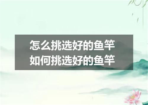 怎么挑选好的鱼竿 如何挑选好的鱼竿