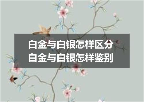 白金与白银怎样区分 白金与白银怎样鉴别