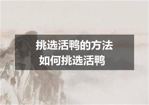 挑选活鸭的方法 如何挑选活鸭