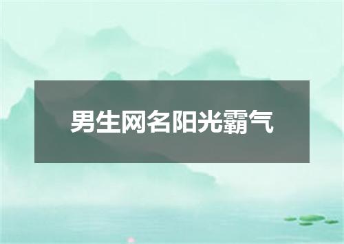 男生网名阳光霸气