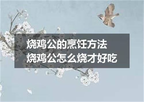 烧鸡公的烹饪方法 烧鸡公怎么烧才好吃