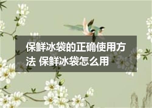 保鲜冰袋的正确使用方法 保鲜冰袋怎么用
