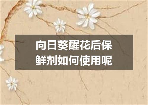向日葵醒花后保鲜剂如何使用呢