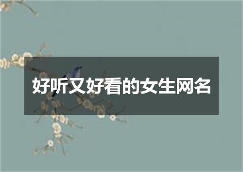 好听又好看的女生网名