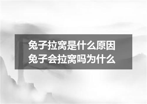 兔子拉窝是什么原因 兔子会拉窝吗为什么