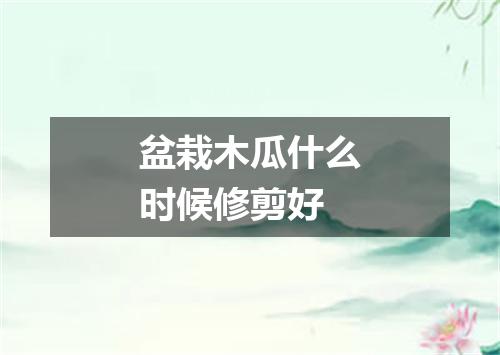 盆栽木瓜什么时候修剪好