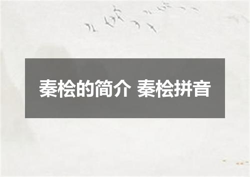 秦桧的简介 秦桧拼音