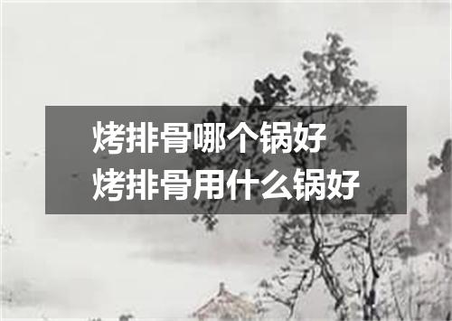 烤排骨哪个锅好 烤排骨用什么锅好