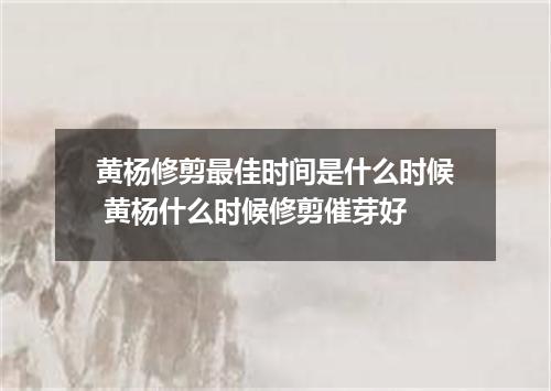 黄杨修剪最佳时间是什么时候 黄杨什么时候修剪催芽好
