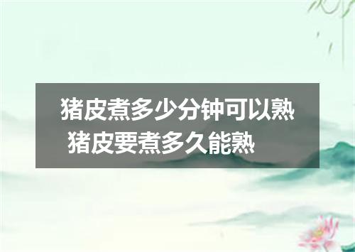 猪皮煮多少分钟可以熟 猪皮要煮多久能熟