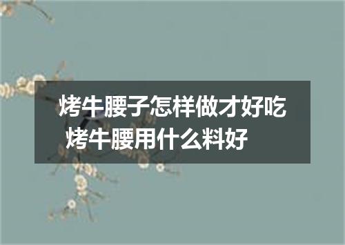 烤牛腰子怎样做才好吃 烤牛腰用什么料好
