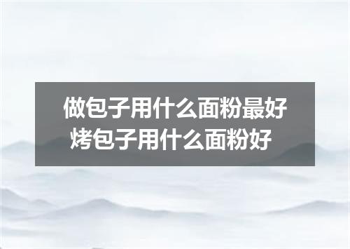 做包子用什么面粉最好 烤包子用什么面粉好