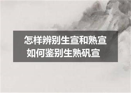 怎样辨别生宣和熟宣 如何鉴别生熟矾宣