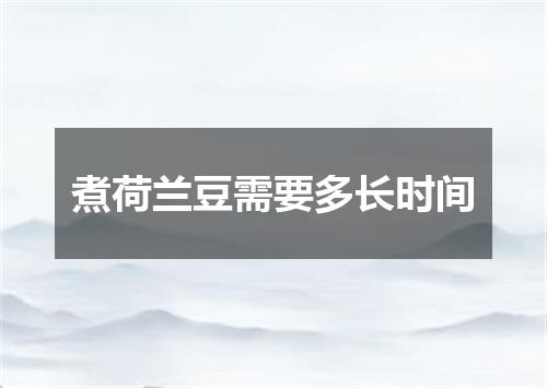 煮荷兰豆需要多长时间