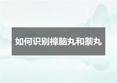 如何识别樟脑丸和萘丸