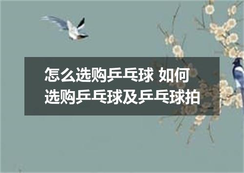 怎么选购乒乓球 如何选购乒乓球及乒乓球拍
