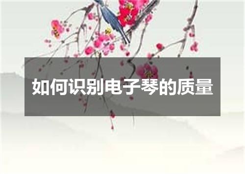 如何识别电子琴的质量