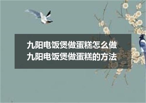 九阳电饭煲做蛋糕怎么做 九阳电饭煲做蛋糕的方法