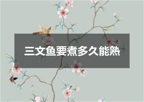 三文鱼要煮多久能熟