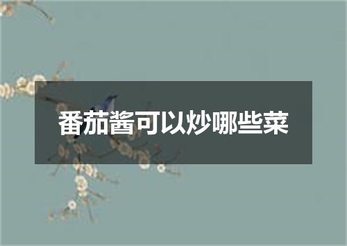 番茄酱可以炒哪些菜