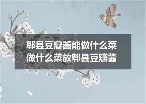 郫县豆瓣酱能做什么菜 做什么菜放郫县豆瓣酱