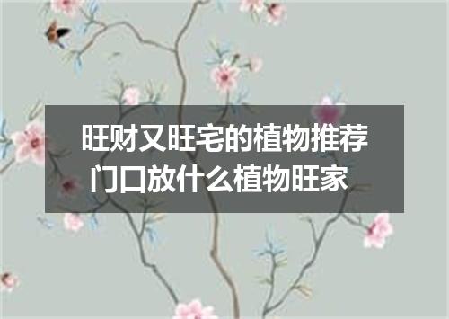 旺财又旺宅的植物推荐 门口放什么植物旺家