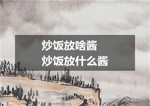 炒饭放啥酱 炒饭放什么酱