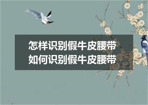 怎样识别假牛皮腰带 如何识别假牛皮腰带