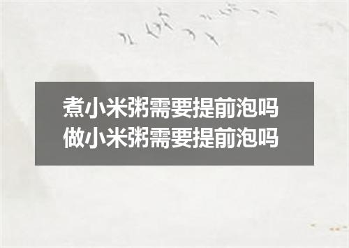 煮小米粥需要提前泡吗 做小米粥需要提前泡吗