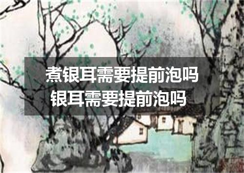 煮银耳需要提前泡吗 银耳需要提前泡吗