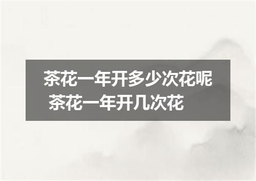 茶花一年开多少次花呢 茶花一年开几次花