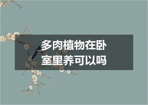 多肉植物在卧室里养可以吗