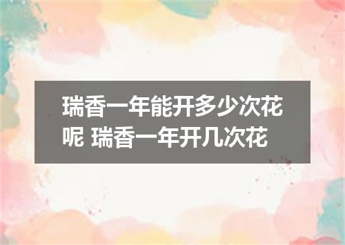 瑞香一年能开多少次花呢 瑞香一年开几次花