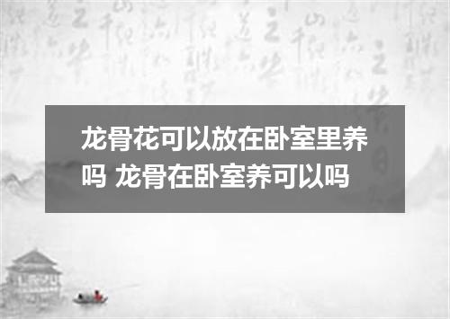 龙骨花可以放在卧室里养吗 龙骨在卧室养可以吗
