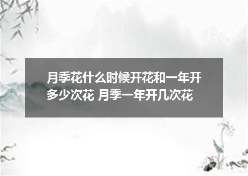 月季花什么时候开花和一年开多少次花 月季一年开几次花