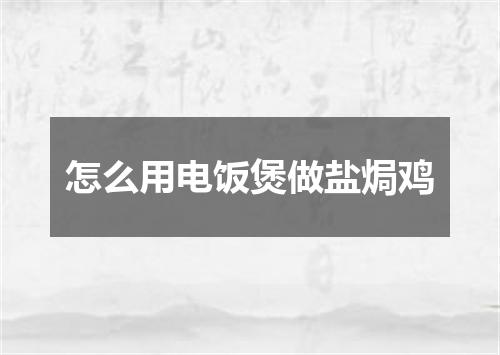 怎么用电饭煲做盐焗鸡