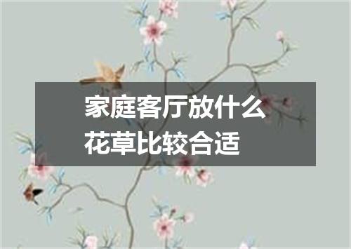 家庭客厅放什么花草比较合适